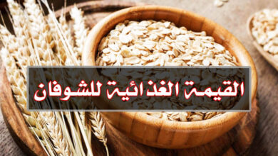اكتشف القيمة الغذائية للشوفان مع أهم الفوائد التي يجب معرفتها