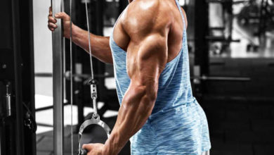 تمارين الترايسبس ضخم عضلة الترايسبس من جميع الجوانب بهذا البرنامج الرائع