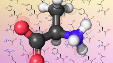 الاحماض الأمينية