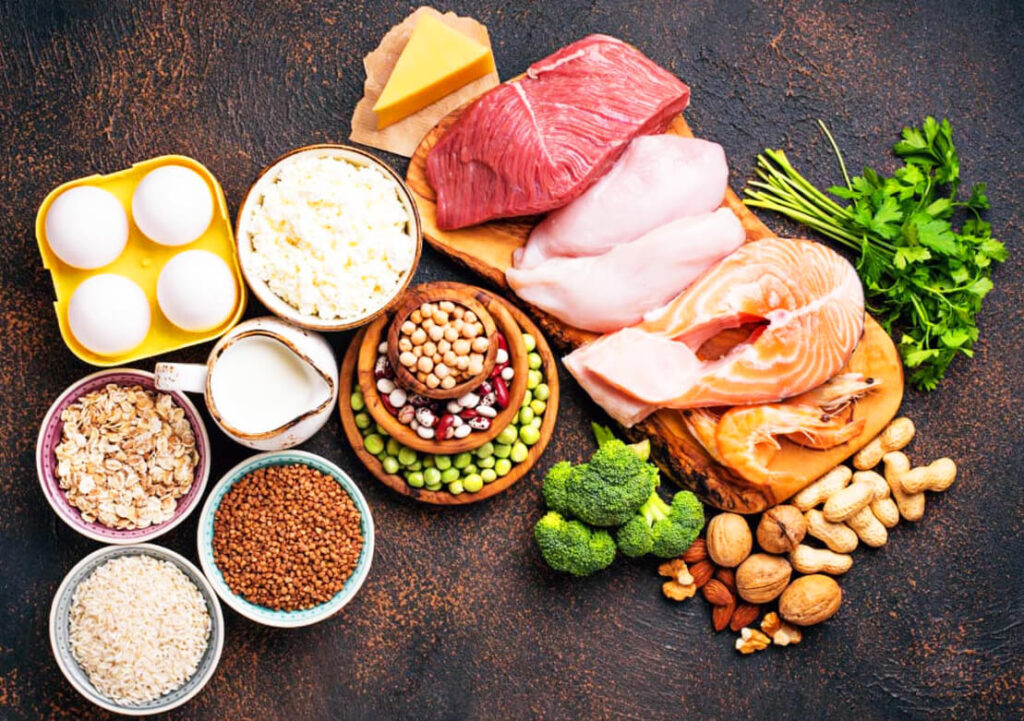 النظام الغذائي عالي البروتين لفقدان الوزن وتحسين الصحة - نموذج خطة الوجبات في النظام الغذائي عالي البروتين