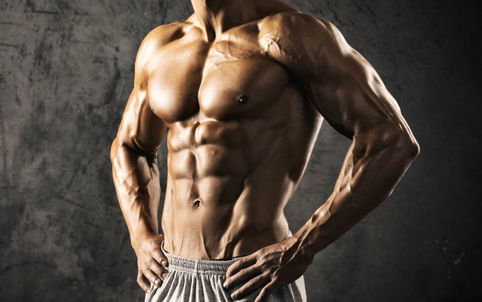 عضلات البطن - انقاص نسبة الدهون في الجسم