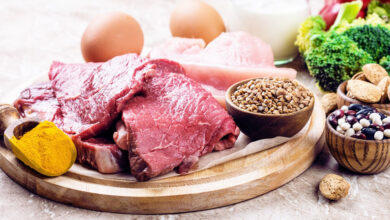 الفرق بين البروتين النباتي والحيواني