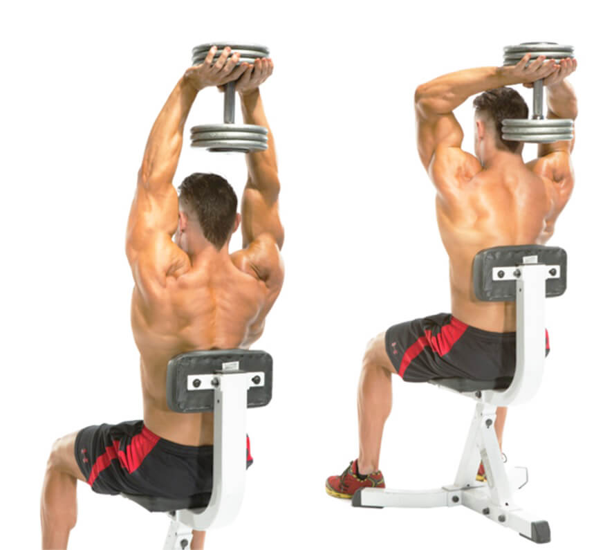 برمامج تدريب بالوزن - تمرين Triceps extensions