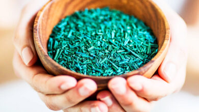 افضل مصادر البروتين النباتي - سبيرولينا