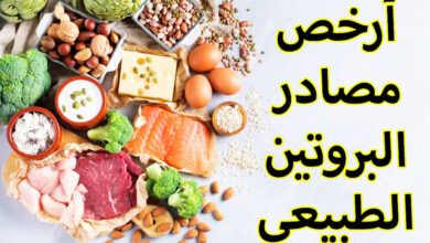 ارخص مصادر البروتين