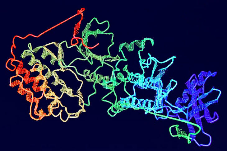 الأحماض الأمينية والبروتينات