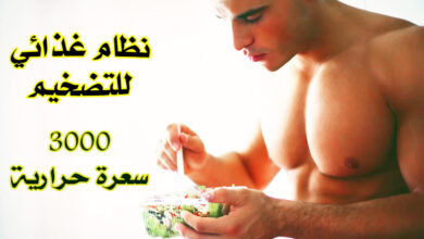 نظام غذائي للتضخيم 3000 سعرة حرارية
