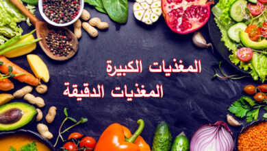 المغذيات الكبيرة والمغذيات الدقيقة