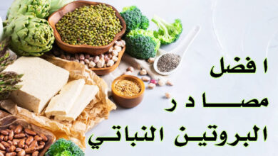 افضل مصادر البروتين النباتي