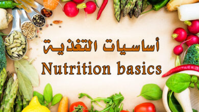 تعريف التغذية والعناصر الغذائية الأساسية