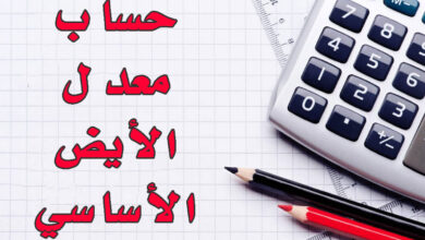 معدل الأيض الأساسي