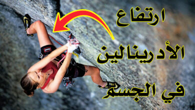 ما الذي يحدث للجسم عند ارتفاع الأدرينالين؟