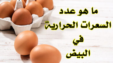 ماهي القيمة الغذائية للبيض و كم عدد السعرات الحرارية في البيض؟