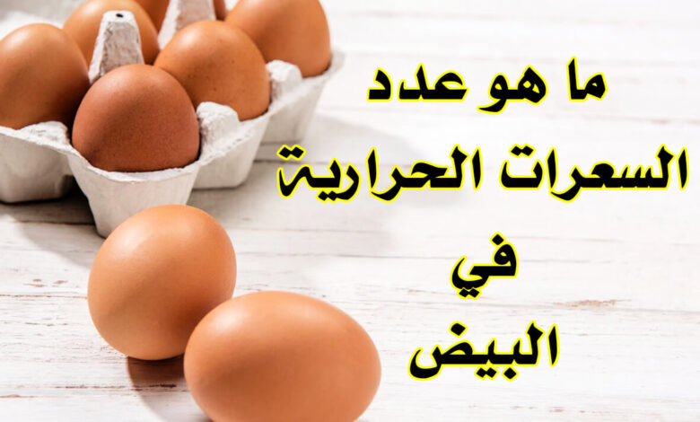 ماهي القيمة الغذائية للبيض و كم عدد السعرات الحرارية في البيض؟