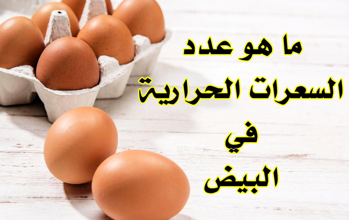 البيضة في كم حرارية الواحدة سعرة السعرات الحرارية
