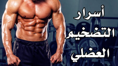 مرحلة التضخيم العضلي- كيف تبني كتلة عضلية صافية؟