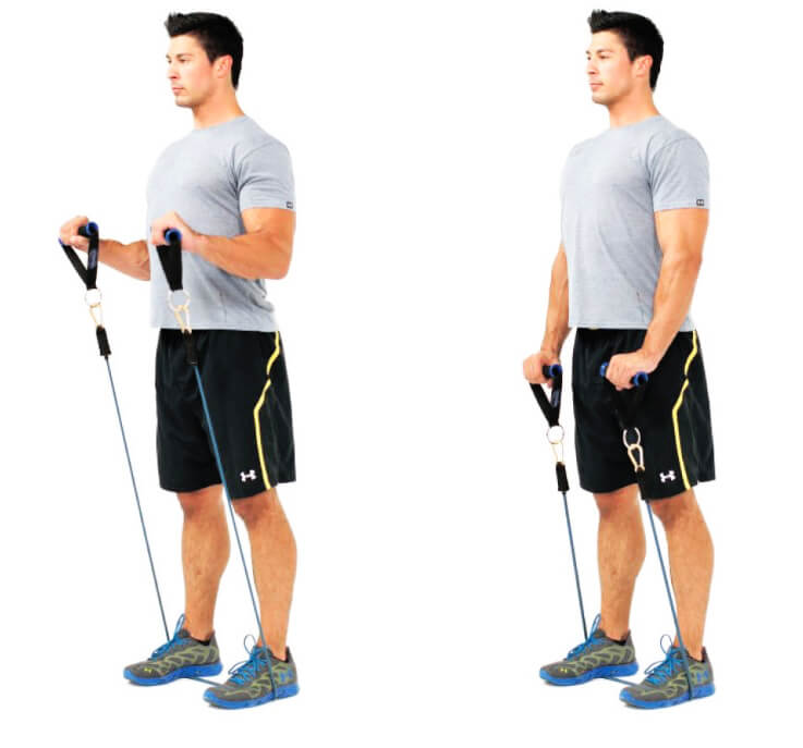 Arm exercises with resistance ropes, explode the biceps and triceps muscles with this wonderful program 2021 6 Resistance Rope Arm Exercises - Biceps Exercises - Hummer Curl Exercise