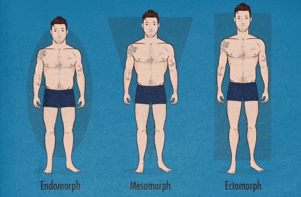 كيف تعرف إذا كان لديك نوع جسم ميزومورف؟  haronefit