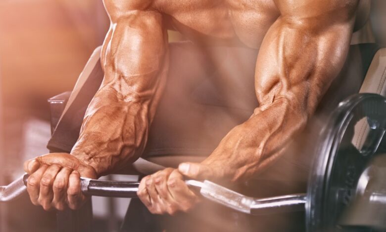 ما هو الفرق بين بناء العضلات وزيادة القوة؟ haronefit