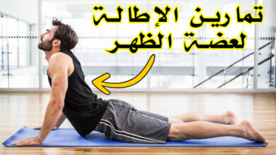 أفضل 8 تمارين الإطالة للظهر | جربها من منزلك haronefit هارون فيت