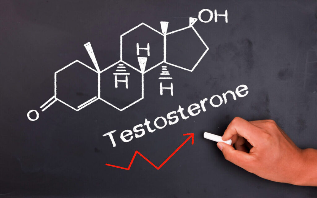 زيادة هرمونات الجسم: التستوستيرون هارون فيت haronefit