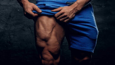 عضلات الفخذ الأمامية | التشريح، الوظائف مع أقوى التمارين haronefit هارون فيت