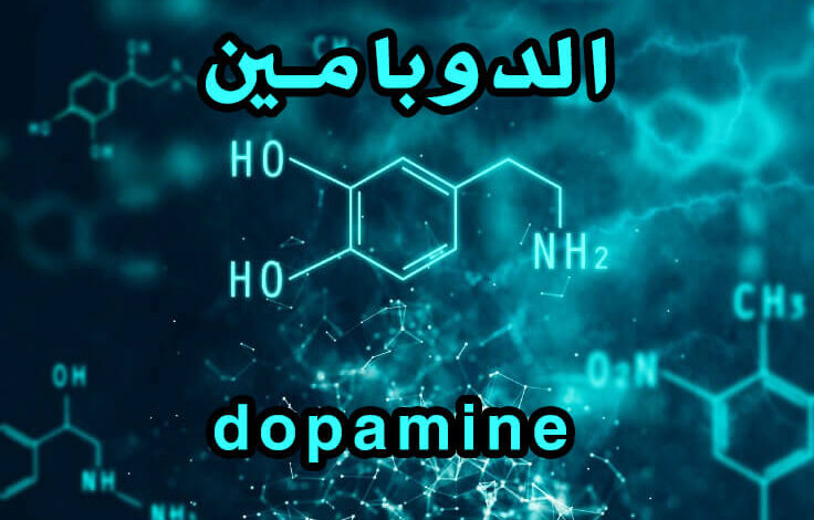 ما هو الدوبامين؟ مميزاته، فوائده، وكيف يُمكن زيادته؟ haronefit هارون فيت
