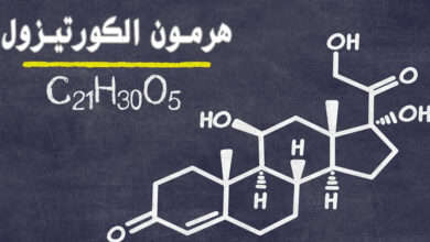 هرمون الكورتيزول | تأثيراته، خصائصه، وكيفية التحكم فيه haronefit هارونفيت