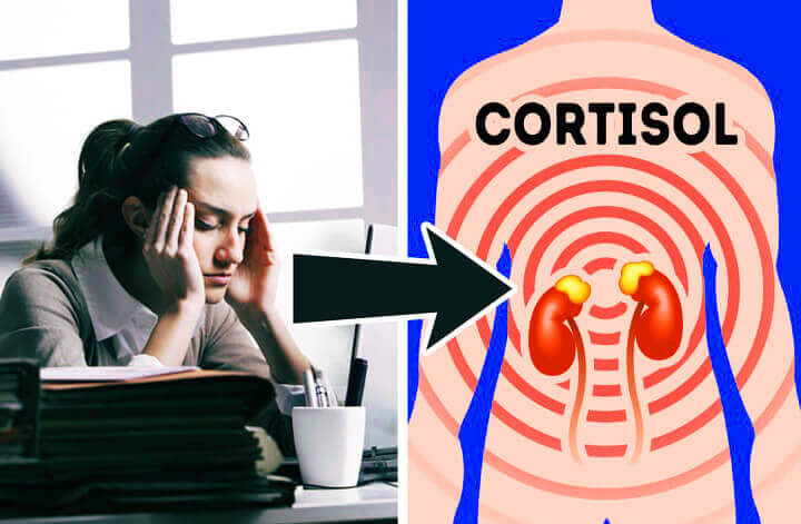 تأثير هرمون الكورتيزول haronefit