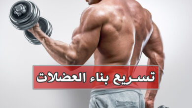 16 نصيحة لبناء العضلات في كمال الأجسام، جربها الآن haronefit