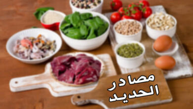 أفضل مصادر الحديد من الأطعمة | اكتشفها الآن haronefit