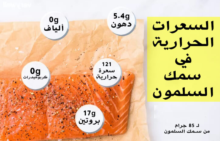 القيمة الغذائية لسمك السلمون | السعرات الحرارية والفوائد الصحية haronefit