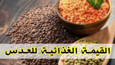 القيمة الغذائية للعدس السعرات الحرارية، الفوائد والأضرار الجانبية haronefit