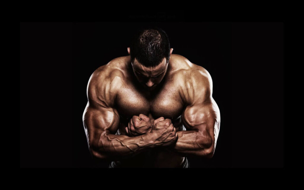   البناء العضلي و الهدم العضلي haronefit