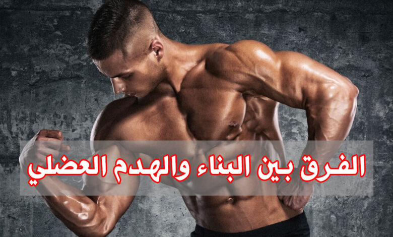 تعرف على الفرق بين البناء العضلي و الهدم العضلي لتحقيق أفضل النتائج haronefit