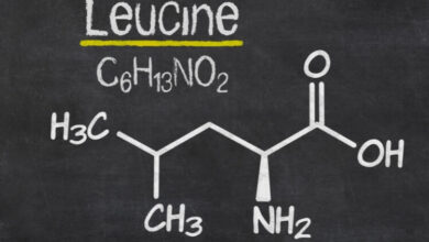 حقيقة الليوسين، المصادر، الفوائد، والمكملات الغذائية haronefit
