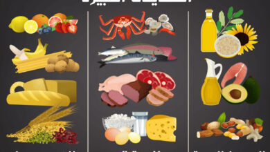 حقيقة المغذيات الكبيرة، البروتينات، الكربوهيدرات، الدهون haronefit