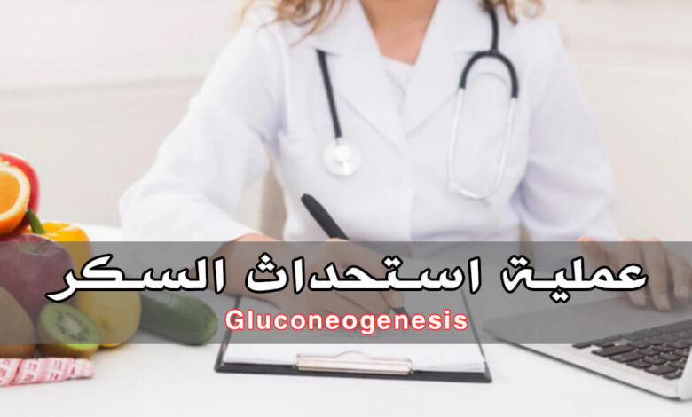 ما هو استحداث السكر (Gluconeogenesis) وكيف يحدث في الجسم؟ haronefit