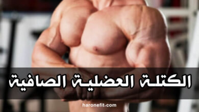 التضخيم النظيف | كيف أقوم بتضخيم عضلاتي بطريقة مع نسبة دهون قليلة جدا؟ haronefit