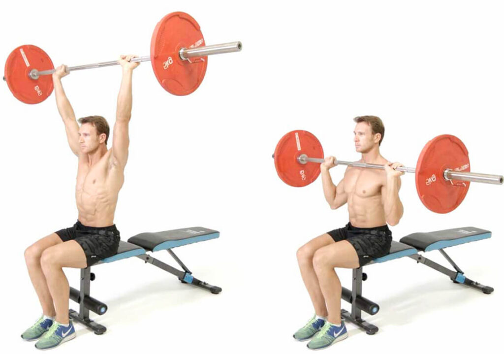 2. تمرين ضغط الكتف بالبار بوضعية الجلوس Seated barbell shoulder press