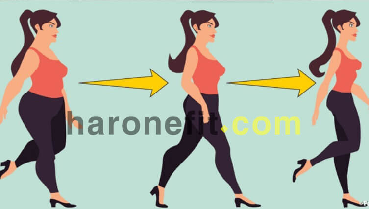 تعرف على حقيقة فقدان الوزن وكيف يتخلص الجسم من الدهون الزائدة؟ haronefit