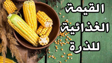 القيمة الغذائية للذرة | السعرات الحرارية، الفوائد والأضرار الجانبية haronefit