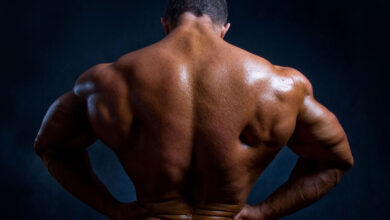 تشريح العضلة الظهرية العريضة Latissimus Dorsi فهم الألياف والوظائف haronefit