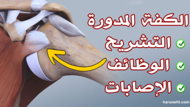 تشريح الكفة المدورة | الوظائف والألياف مع كيفية تجنب الإصابة haronefit