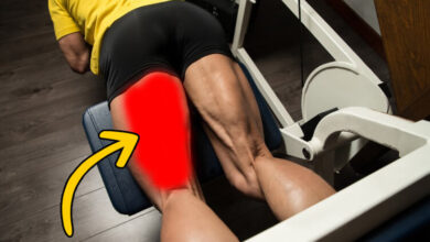 تشريح عضلات أوتار الركبة (الأرجل الخلفية-hamstrings) الوظائف والألياف haronefit