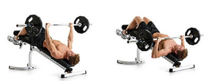 تشريح عضلات الصدر: تمرين Decline barbell bench press