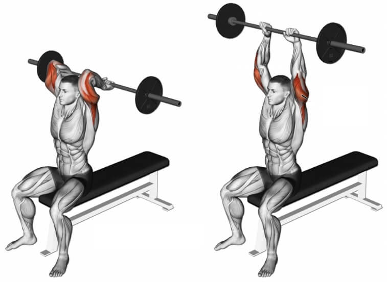 تمارين الذراع بالبار: Overhead barbell triceps extension