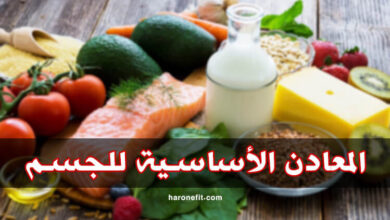 ما هي المعادن الأساسية للجسم؟ وما هي الأطعمة التي تحتوي عليها؟ haronefit