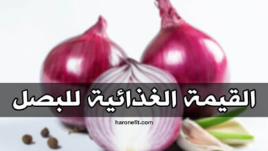 القيمة الغذائية للبصل | السعرات الحرارية، الفوائد، الأضرار الجانبية، مع كيفية التحضير