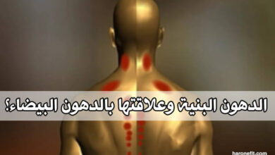 كل ما يجب أن تعرفه عن الدهون البنية وعلاقتها بالدهون البيضاء!